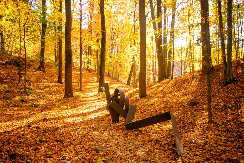 Cyclists riding along a trail through the Meadows at the Storm King Arts Center in the fall, with fall foliage in the background